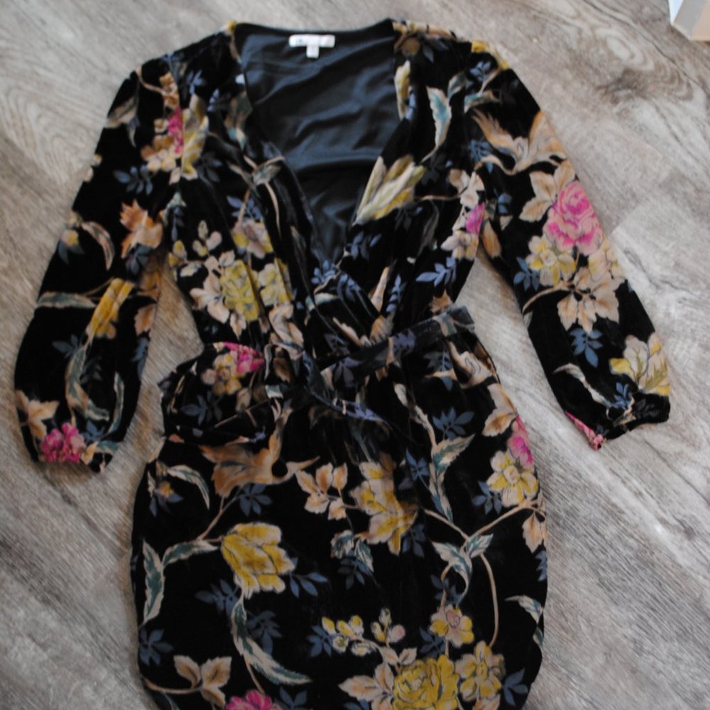Black/Floral Velvet Dress